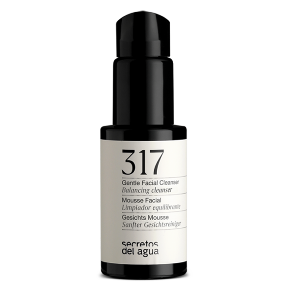 Mousse Facial - 100 ml